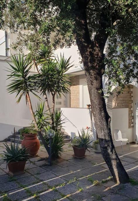 Lecci Al Mare Διαμέρισμα Σαν Βιντσέντσο Εξωτερικό φωτογραφία